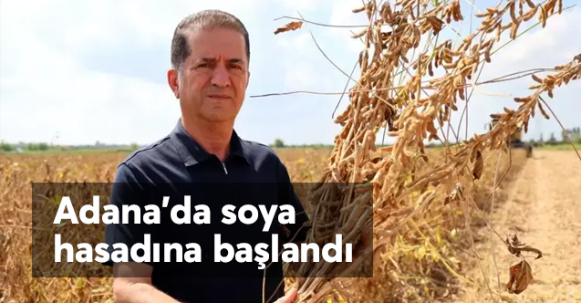 Adana'da soya hasadı başladı