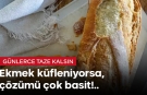 Ekmek küfleniyorsa çözümü çok basit!