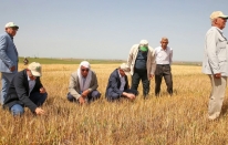 Kuraklığın tarlalardaki zararı %100'ü buldu