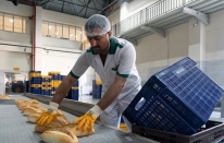 Ankara'da 1 Ağustos itibariyle ekmek fiyatı değişiyor