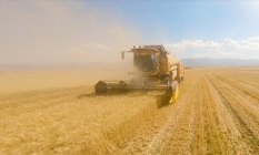 TMO’dan hasat öncesi "maliyet" darbesi