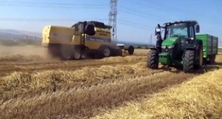 Arpa hasadı başladı! Geçen yıla göre %20 artış olacak