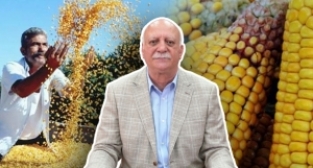 Bayraktar: Mısır fiyatları bir an önce açıklanmalıdır