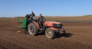 Kuraklık başgösterdi! Çiftçilere 'Yağmur duasını çıkın' çağrısı