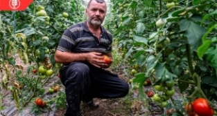 Öğretmenliği bıraktı, çiftçiliğe başladı