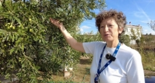 Doktorluktan çiftçiliğe...