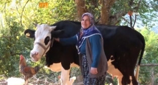 Köyde, üretim olmayınca süt bulamaz oldular