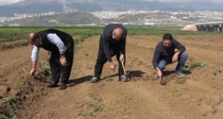 Depremzede çiftçiler üretim için geri döndü