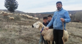 İstanbul'u terkedip koyun yetiştiricisi oldu