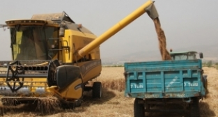 Konya Ovası'nda yüzler gülüyor