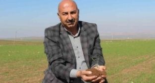 Yağışlar çiftçiyi umutlandırdı