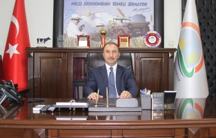 Mısır, verimiyle çiftçilerin yüzünü güldürdü