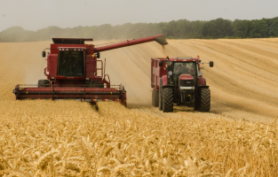 Stokçu ekmekle oynuyor