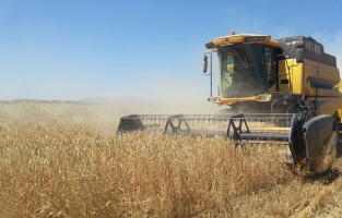 Kırsalda projelerle kalkınma seferberliği