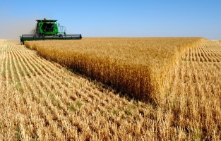 Tarım Kredi'den üreticilere 'tarım sigortası' çağrısı