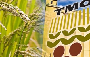 TMO buğday desteği verdi, uygun fiyata un satışları başladı