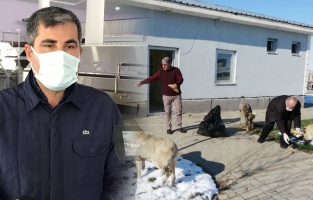 Muş Halk Ekmek Fabrikası'nın ilk deneme ekmekleri sokak hayvanlarına verildi