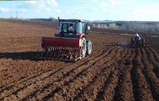 Kuraklık alarmı: Buğday alanlarına ciddi etkisi olacak