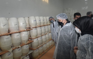 Türkiye tarımsal üretimde Avrupa'da 1'inci, dünyada 10'uncu