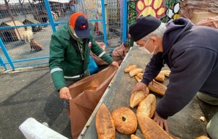 Bayat ekmekler 2 binden fazla hayvana aş oluyor