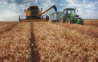 Hububat fiyatlarında son durum