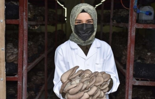 Harita mühendisi genç kadın, mesleğini bırakıp üretici oldu