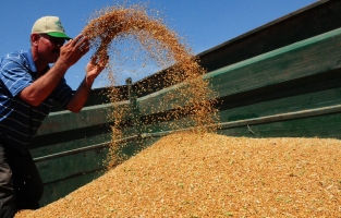 Tarımsal girdi fiyat endeksi ocakta arttı