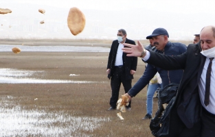 Kuş cennetine yüzlerce ekmek attılar