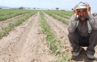 Kuraklık için çiftçiye destek geliyor