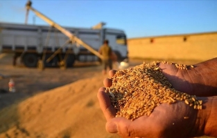 TMO, buğday ve arpa satış fiyatlarını açıkladı