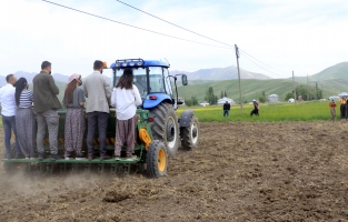 Yüksekova'da kadın eliyle ekim seferberliği