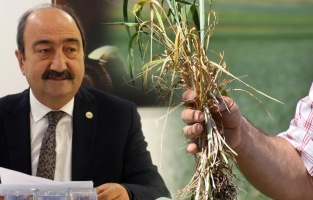 'Ürünlerimiz büyük zarar gördü! Buğdayımız, arpamız bitti'