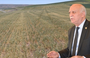 TZOB Genel Başkanı Bayraktar: Kuraklıktan etkilenen il sayısı 41'e çıktı