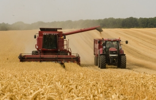 İhraç etmek için, ithal ediyoruz