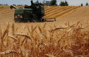 TÜİK açıkladı: Fiyat artışı yüzde 41'e ulaştı
