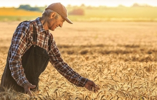 Çiftçinin banka borcu dudak uçuklattı!
