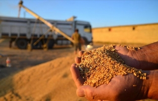 TMO'dan piyasaya müdahale