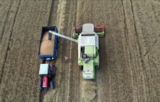 Buğday hasadına başlayan Edirneli çiftçinin yüzü, yüksek rekolteyle gülüyor