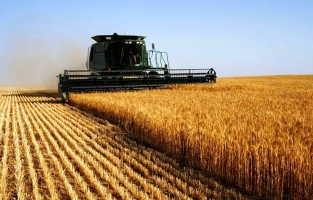 Küresel gıda fiyatları 10 yılın zirvesinde