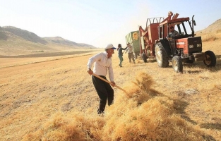 Ekmeği 4 TL'ye yemek zorunda kalabiliriz