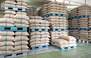 Halk Ekmek Fabrikasından yeni ihale, 10 bin çuvaldan fazla un alınacak