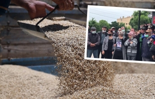 Yem sanayicileri 'ucuz yem' yerine arpa almama sözü verdi