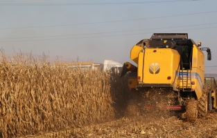 Danıştay, çiftçinin gelir desteğinden kesilen vergiyi iptal etti