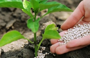 Yerli gübreye 200 milyon dolar