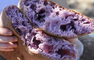 Kırmızı patatesten ekmek, tatlı ve makarna yaptılar