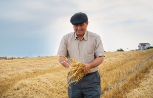 Ekonomik çöküş yaşayan 46 bin çiftçi pes etti