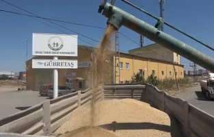 Hububat şehrinde endişelendiren tablo...