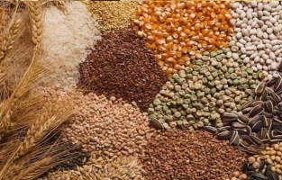 Toprak Mahsulleri Ofisi'nden kamuoyuna duyuru