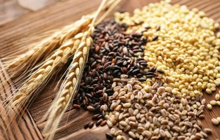 Hububat ve bakliyatta gümrük vergisi sıfırlandı