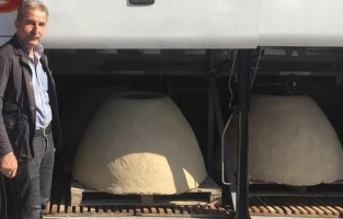 İstanbul'a otobüs bagajında götürdü! Görenler şaşırdı